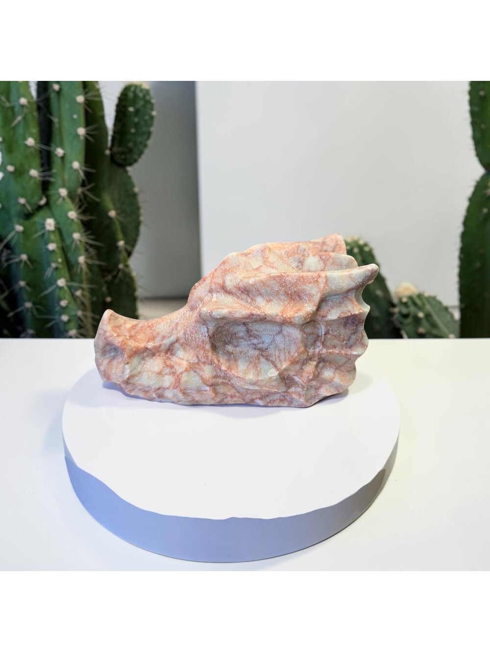 A150. Red Vein Jasper Natural Crystal Dragon Head